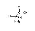 D-Alanine